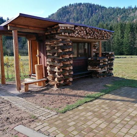 Chalet Pour Amoureux De La Nature Avec Vue Sur Le Lac De Retournemer Xonrupt-Longemer Buitenkant foto
