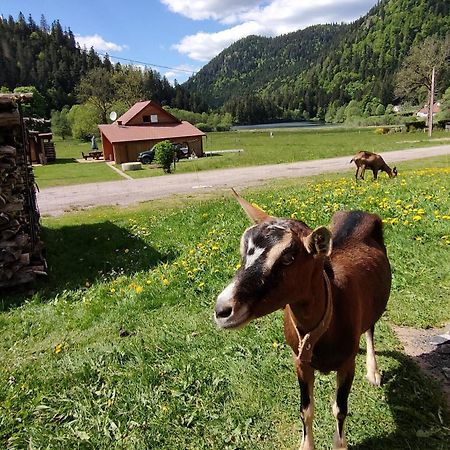 Chalet Pour Amoureux De La Nature Avec Vue Sur Le Lac De Retournemer Xonrupt-Longemer Buitenkant foto