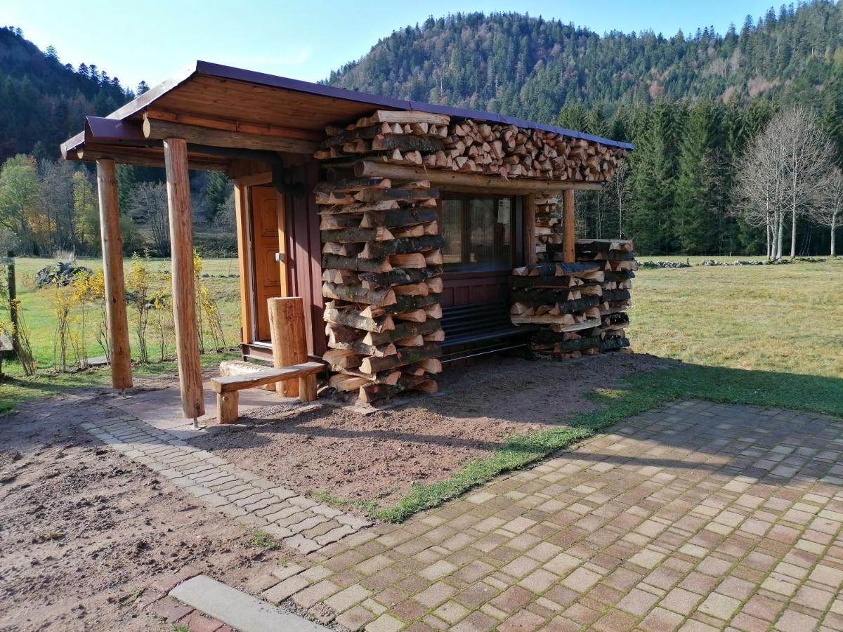 Chalet Pour Amoureux De La Nature Avec Vue Sur Le Lac De Retournemer Xonrupt-Longemer Buitenkant foto
