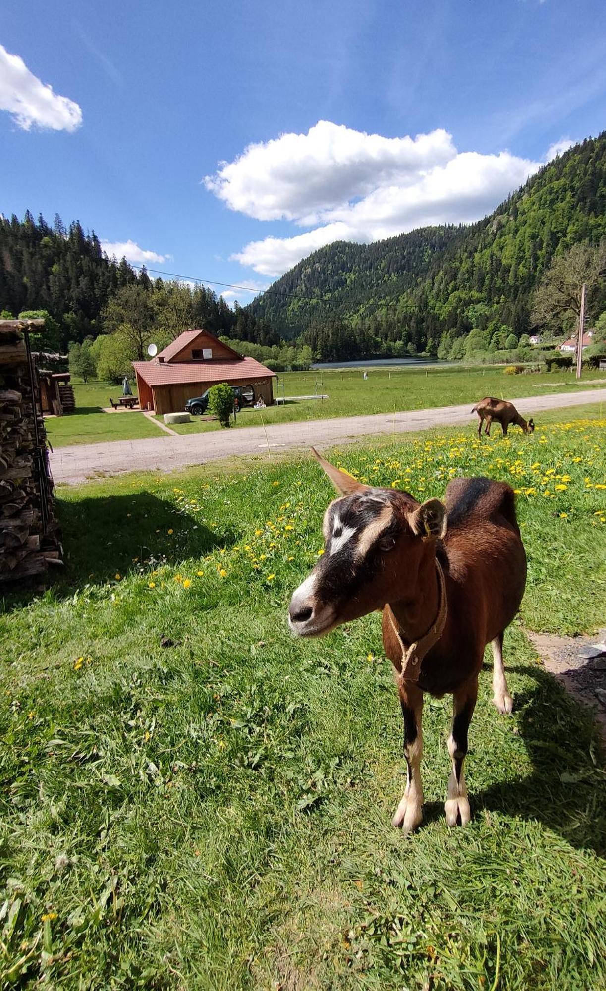 Chalet Pour Amoureux De La Nature Avec Vue Sur Le Lac De Retournemer Xonrupt-Longemer Buitenkant foto