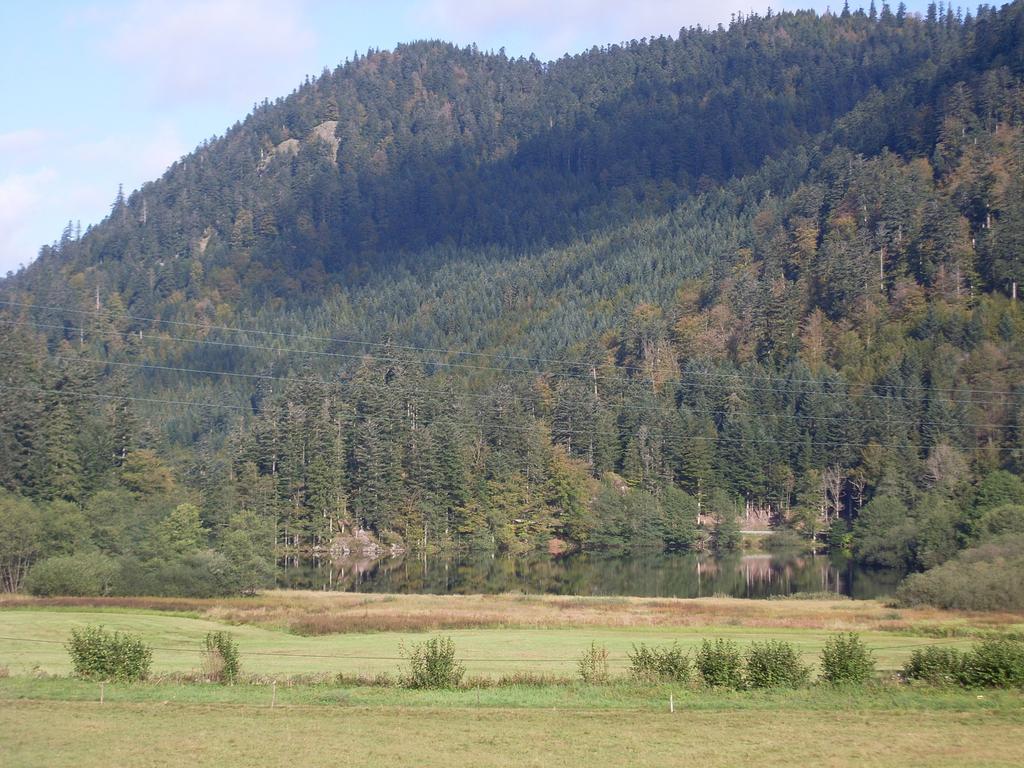 Chalet Pour Amoureux De La Nature Avec Vue Sur Le Lac De Retournemer Xonrupt-Longemer Kamer foto
