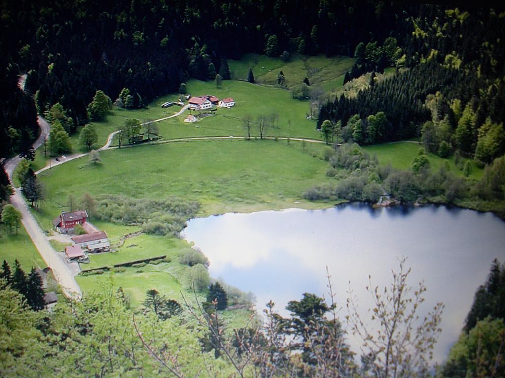 Chalet Pour Amoureux De La Nature Avec Vue Sur Le Lac De Retournemer Xonrupt-Longemer Buitenkant foto