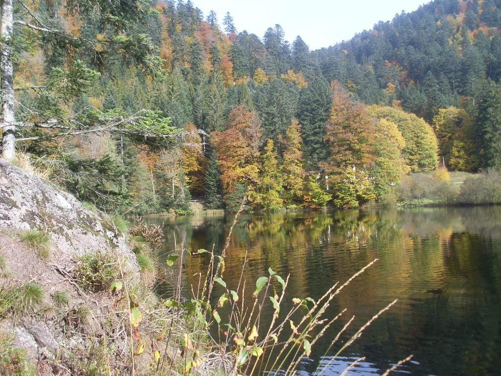 Chalet Pour Amoureux De La Nature Avec Vue Sur Le Lac De Retournemer Xonrupt-Longemer Buitenkant foto