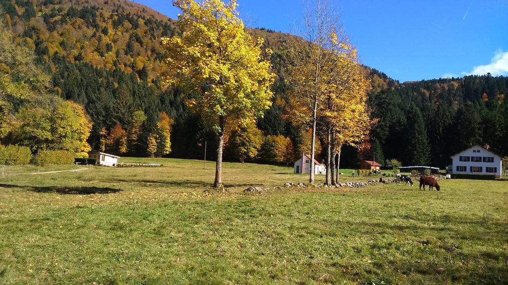 Chalet Pour Amoureux De La Nature Avec Vue Sur Le Lac De Retournemer Xonrupt-Longemer Buitenkant foto