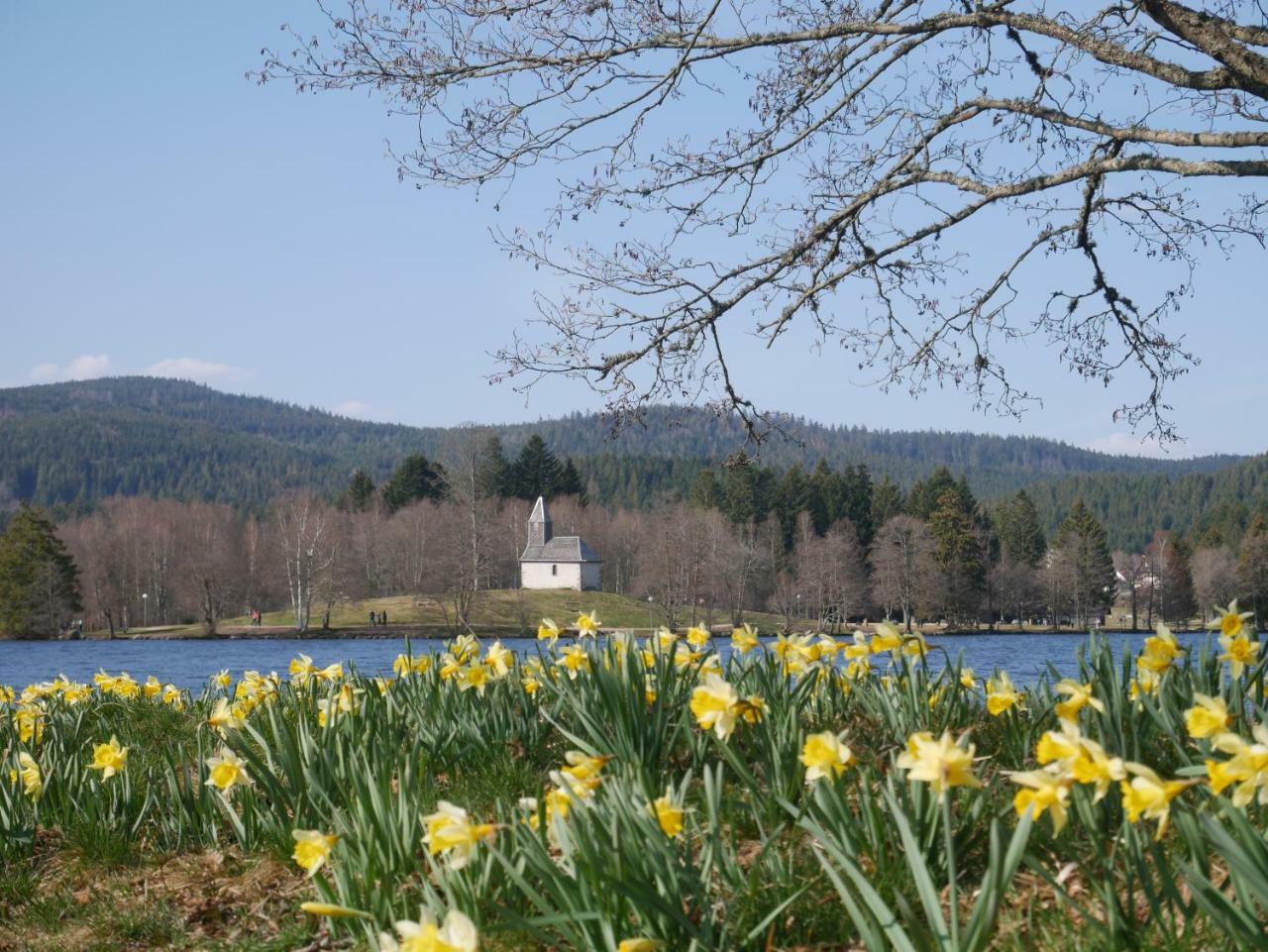 Chalet Pour Amoureux De La Nature Avec Vue Sur Le Lac De Retournemer Xonrupt-Longemer Buitenkant foto