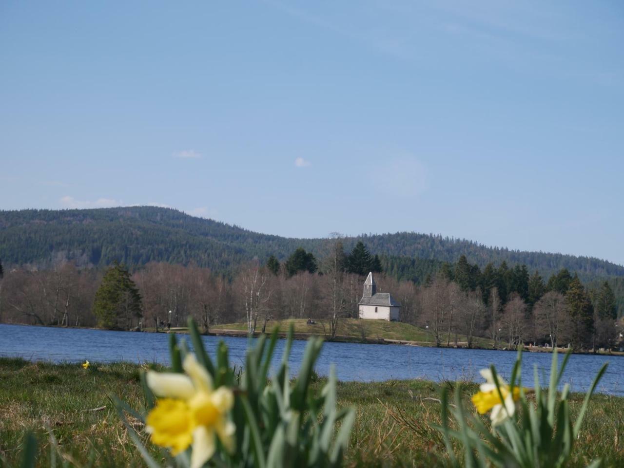 Chalet Pour Amoureux De La Nature Avec Vue Sur Le Lac De Retournemer Xonrupt-Longemer Buitenkant foto