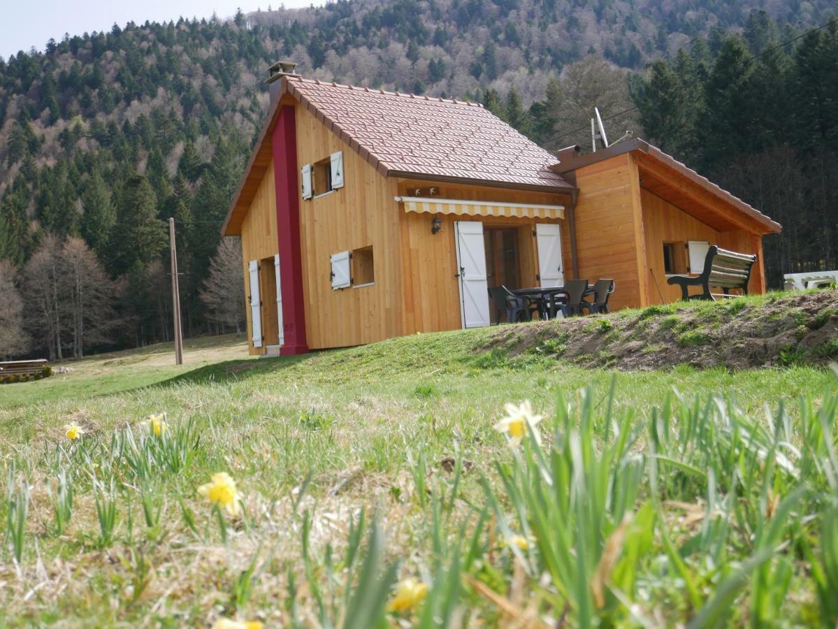 Chalet Pour Amoureux De La Nature Avec Vue Sur Le Lac De Retournemer Xonrupt-Longemer Buitenkant foto
